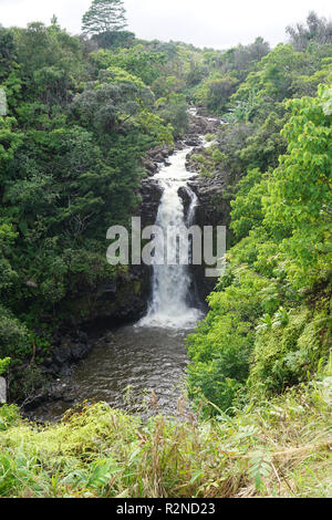 Le Kamaee tombe sur l'île d'Hawaii (Big Island)