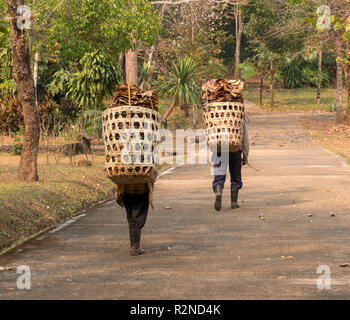 Carrying basket Tribal Feuilles witl marche sauvage de stockage des forêts du nord de la Thaïlande. Région de Pai Banque D'Images