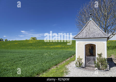 Chapelle près de Seeon Seeon-Seebruck, communautaire, Chiemgau, Haute-Bavière, Bavière, Allemagne du sud, l'Allemagne, de l'Europe Banque D'Images