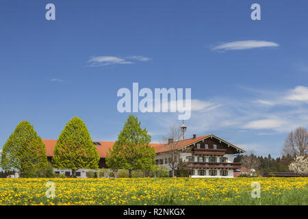 Bergerhof dans Grabenstädt Marwang près, Chiemgau, Haute-Bavière, Bavière, Allemagne du Sud, l'Allemagne, de l'Europe Banque D'Images