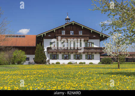 Bergerhof dans Grabenstädt Marwang près, Chiemgau, Haute-Bavière, Bavière, Allemagne du Sud, l'Allemagne, de l'Europe Banque D'Images