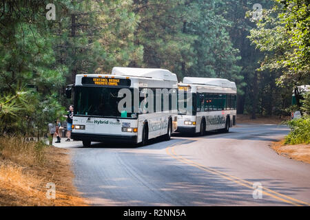 Juillet 17, 2018 La vallée Yosemite / CA / USA - navette bus de touristes entre divers points d'intérêt situés dans la région de Yosemite National Park Banque D'Images