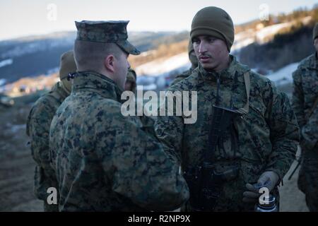 U.S. Marine Corps Capitaine Anthony Sierawski avec 2e Bataillon de l'application de la Loi, donne un défi de monnaie pour le Cpl. Avec Daniel Perez, entreprise de services de transport du bataillon logistique de combat, 2 pour l'affichage à l'initiative de l'ALOP, la Norvège, le 29 octobre 2018. Les Marines de NCLC 2 transport fourni à l'appui 2e Division de marines au cours de l'exercice Trident stade 18. L'exercice améliore les États-Unis et ses alliés de l'Otan et partenaires capacité à travailler ensemble collectivement pour mener des opérations militaires dans des conditions difficiles. Banque D'Images