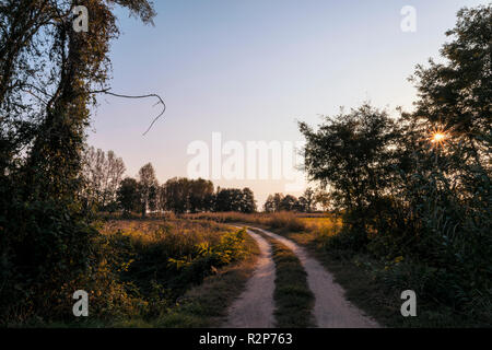 Pays dirt road in Lomellina au coucher du soleil Banque D'Images