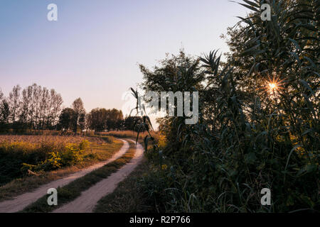 Pays dirt road in Lomellina au coucher du soleil Banque D'Images