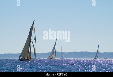 Voiles de St Tropez Banque D'Images