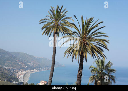 Palmiers, Mer Méditerranée, Taormina, province de Messine, Sicile, Italie, Europe Banque D'Images