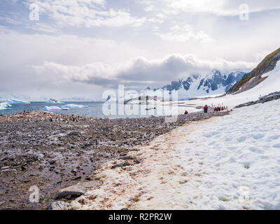 Manchots et les touristes walking on beach de Cuverville Island dans l'ouest du Canal Errera, Péninsule Antarctique, l'Antarctique Banque D'Images