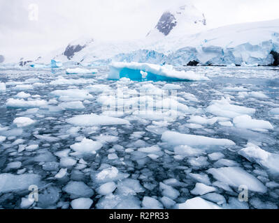 Plaques de glace flottante, glaces en dérive dans la Cierva Cove dans Hughes Bay, Terre de Graham, Péninsule Antarctique, l'Antarctique Banque D'Images