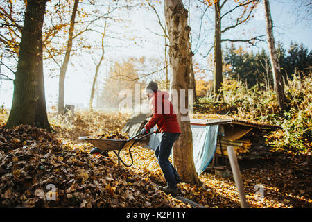 Photo de portrait homme portant une veste rouge qui pousse une brouette pleine de feuilles d'une pile de feuilles Banque D'Images