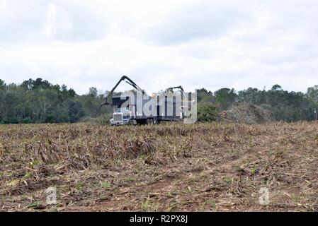 Décharger les camions de débris débris dans un site d'immersion désigné dans Lee County, Géorgie l'Army Corps of Engineers des États-Unis ainsi que des représentants des gouvernements locaux, a commencé l'activité de l'enlèvement des débris à Leesburg, sous la direction de la Géorgie en matière de gestion des urgences et de la Sécurité intérieure (GEMA/SH) et les organismes de gestion des urgences fédérales (FEMA) dans le cadre de la mission de débris de la FEMA. Le premier courrier a commencé le 31 octobre 2018, dans le comté de Lee. Pour les prochains mois, les débris seront ramassés par les entrepreneurs opérant sous la direction du Corps of Engineers, GEMA/HS et la FEMA. Les entrepreneurs s' Banque D'Images