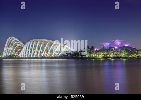 Singapour, les jardins de la baie, l'OCBC ATM - Jardins (le couvert) et allumé Supertrees, vision de nuit Banque D'Images