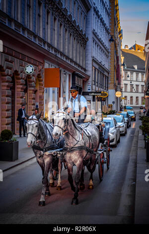 L'Europe, Autriche, Vienne, Innere Stadt, quartier centre ville, Habsburgergasse, transport, Fiaker Banque D'Images