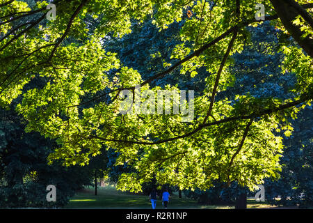 L'Angleterre, Londres, Kensington, Kensington Gardens, deux femme marche dans le parc Banque D'Images