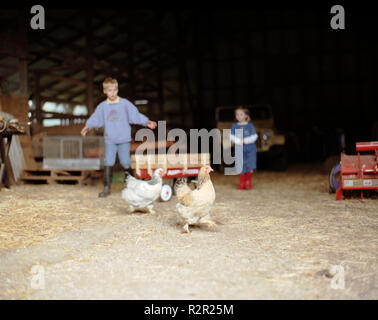 Deux enfants se tenant dans une grange avec deux poulets. Banque D'Images