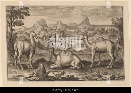 Animalium Quadrupedum. Technique : gravure. Musée : National Gallery of Art, Washington DC. Auteur : Adriaen Collaert. Banque D'Images