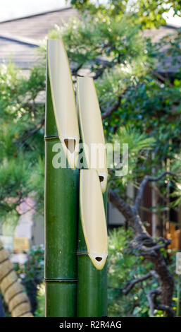 Bambou vert pour le festival du Nouvel An décorations pendant au jardin japonais. Banque D'Images