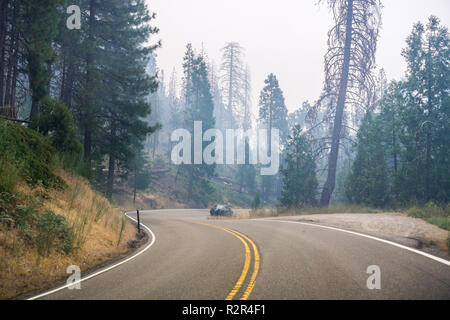 La conduite dans une forêt en Yosemite National Park ; la fumée intense de Ferguson couvrant le ciel de feu, en Californie Banque D'Images