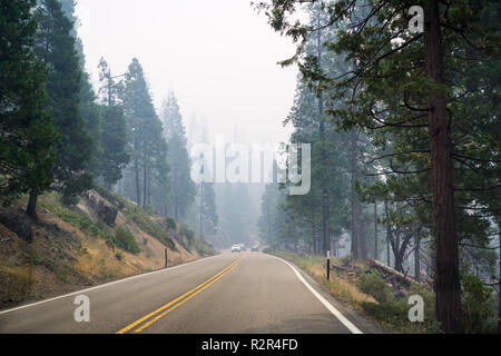 La conduite dans une forêt en Yosemite National Park ; la fumée intense de Ferguson couvrant le ciel de feu, en Californie Banque D'Images