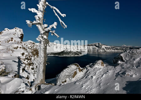 Ou02422-00...OREGON - Vue de l'île de l'Assistant, Llao Rock et le Mont Thielsen à partir d'un point de vue sur le sentier de Crête Garfield dans Crater Lake National Park. Banque D'Images