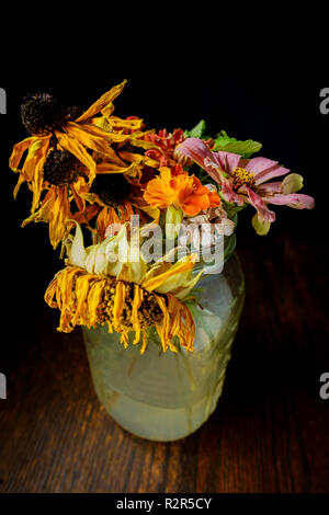 Vieux flétris fleurs d'été dans un pot Mason de verre avec éclairage sombre moody Banque D'Images