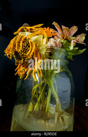 Vieux flétris fleurs d'été dans un pot Mason de verre avec éclairage sombre moody Banque D'Images