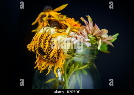 Vieux flétris fleurs d'été dans un pot Mason de verre avec éclairage sombre moody Banque D'Images