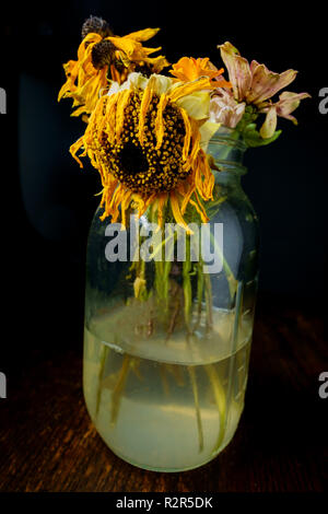 Vieux flétris fleurs d'été dans un pot Mason de verre avec éclairage sombre moody Banque D'Images