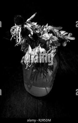 Vieux flétris fleurs d'été dans un pot Mason de verre avec éclairage sombre moody Banque D'Images