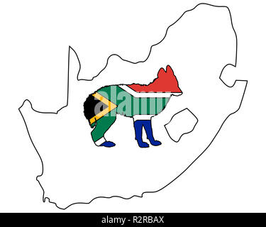 Jackal en provenance d'Afrique du Sud Banque D'Images