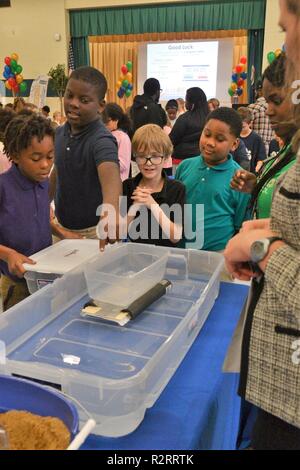 Le U.S. Army Corps of Engineers Norfolk District des écoles publiques de Newport News aide à l'ingénierie de conception NNPS tenue à Newsome Park Elementary School, Newport News, en Virginie, le 2 novembre 2018. Quatrième et cinquième année d'études a pris sur le projet de création d'un pont flottant à petite échelle des éléments fournis à voir dont le pont ne pouvait supporter le plus de poids. Banque D'Images