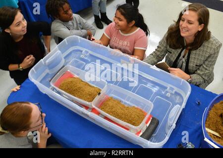 Le U.S. Army Corps of Engineers Norfolk District des écoles publiques de Newport News aide à l'ingénierie de conception NNPS tenue à Newsome Park Elementary School, Newport News, en Virginie, le 2 novembre 2018. Quatrième et cinquième année d'études a pris sur le projet de création d'un pont flottant à petite échelle des éléments fournis à voir dont le pont ne pouvait supporter le plus de poids. Banque D'Images