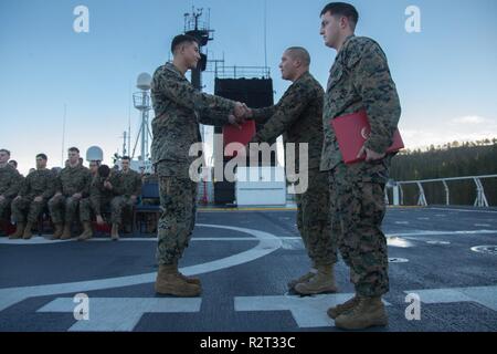 Le sergent d'artillerie du Corps des Marines des États-Unis. Derek B. Delavega, présente un certificat d'études Séminaire Lance Caporal à lance le Cpl. Benjamin T. Pile dans Hammersodden, Norvège, 9 novembre 2018. Marines avec bec-251 ont assisté à une cérémonie de fin de séminaire Lance caporal au cours de l'exercice Trident stade 18. L'exercice améliore les États-Unis et ses alliés de l'Otan et partenaires capacité à travailler ensemble collectivement pour mener des opérations militaires dans des conditions difficiles. Banque D'Images