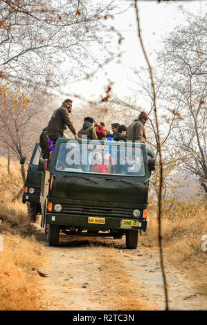 Sur Safari Parc national de Ranthambore. Les touristes en attente de camions pour observation de la vie sauvage. Lumière douce et colorée jungle background. Banque D'Images