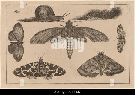 Six Insectes, une chenille, et un escargot. Technique : gravure. Musée : National Gallery of Art, Washington DC. Auteur : Wenceslaus Hollar. Banque D'Images