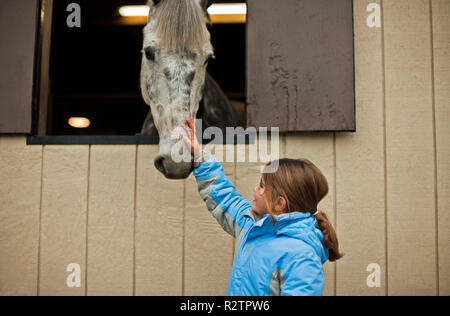 Happy young girl petting son nez du cheval. Banque D'Images