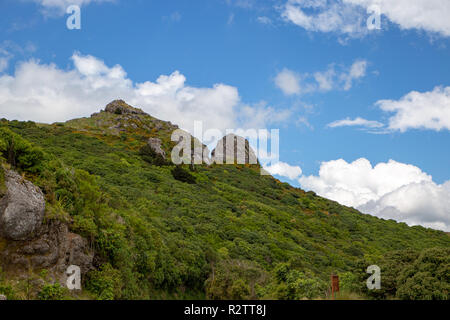 Coopers bouton, dans le Port Angeles, Christchurch, contre un blue cloudy sky Banque D'Images