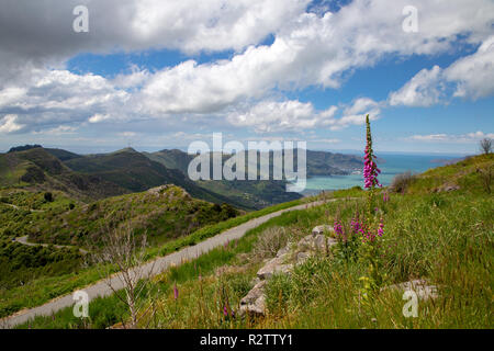 La vue panoramique de Lyttelton Harbour Pointe, Port de Cass HIlls Christchurch Banque D'Images