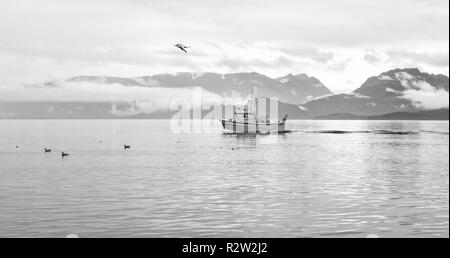 Homer, AK - Aug 23, 2018 : une vue de la baie Kachemak Spit de Homer, Alaska Banque D'Images