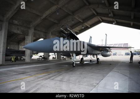 Un U.S. Air Force F-15C Eagle l'équipage attend le 1 novembre 2018, à Kadena Air Base, au Japon. 44e Unité de maintenance d'Aéronefs Aéronefs maintenance assurer réussissent à quitter le sol en mettant leur expertise à la pratique. Banque D'Images