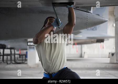 U.S. Air Force Airman First Class Devin Elliott, 44e Unité de maintenance d'aéronefs sous-chef d'équipe dédiée, effectue un post-vol sur un F-15C Eagle 1 novembre 2018, à Kadena Air Base, au Japon. L'exécution de vérifications après-vol est l'une des nombreuses fonctions des chefs d'équipage de rencontrer sur une base de jour en jour. Banque D'Images