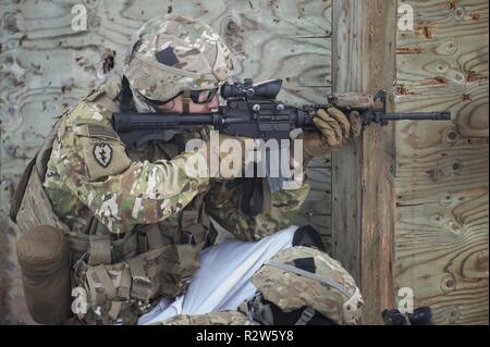 Un parachutiste de l'armée affectés à la Compagnie des Pieds-Noirs, 1er Bataillon, 501e Parachute Infantry Regiment d'infanterie, 4e Brigade Combat Team (Airborne), 25e Division d'infanterie de l'armée américaine, de l'Alaska s'engage positions ennemies simulées au cours de peloton d'infanterie de tir réel à Joint Base Elmendorf-Richardson, Alaska, 8 novembre 2018. L'exercice aiguisé les parachutistes de l'infanterie des compétences pour inclure : mouvement de peloton et de la communication, obstacle violer, la capture d'objectifs au moyen d'agressions sexuelles et de la manœuvre, et aux soins aux blessés. Banque D'Images