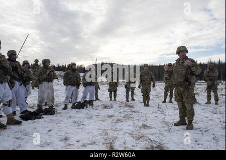 Le général de l'Armée de Mark O'Neil, droite au premier plan, le général commandant de l'armée américaine de l'Alaska, interroge ses soldats après l'observation de peloton d'infanterie de tir réel à Joint Base Elmendorf-Richardson, Alaska, 8 novembre 2018. L'exercice aiguisé les parachutistes de l'infanterie des compétences pour inclure : mouvement de peloton et de la communication, obstacle violer, la capture d'objectifs au moyen d'agressions sexuelles et de la manœuvre, et aux soins aux blessés. Banque D'Images