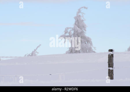 L'hiver dans les alpes Banque D'Images