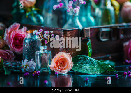 Fleurs collection vintage en bouteilles en verre de près. Botanique et de parfum de coupe sur un fond sombre avec copie espace. Le contraste des couleurs et l'éclairage Banque D'Images