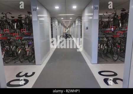 Location parking couvert à la gare centrale d'Utrecht. Le plus grand stationnement de vélos dans le monde (pour 12 500 vélos) Banque D'Images