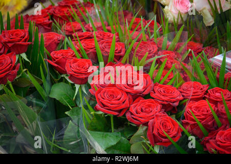 Bouquets et roses rouges en vente dans un étal dans un marché de producteurs. Le format paysage. Banque D'Images