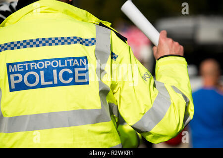 Agent de police métropolitaine traitant des demandes de protestataires, à un Brexit manifestation de protestation dans le centre de Londres, au Royaume-Uni. Banque D'Images