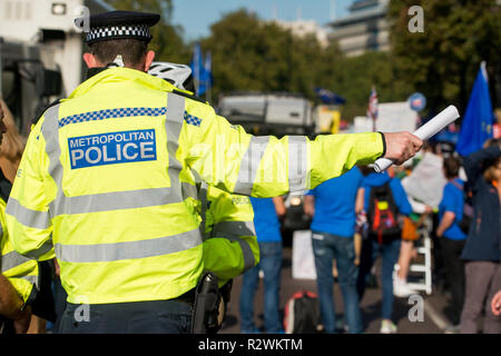 Agent de police métropolitaine traitant des demandes de protestataires, à un Brexit manifestation de protestation dans le centre de Londres, au Royaume-Uni. Banque D'Images