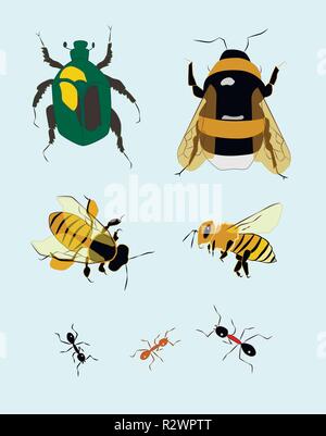 Les insectes de jardin, vector illustration Illustration de Vecteur